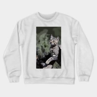 Cat - New Photo de  " Zazou "  2   (c)(t) by Olao-Olavia / Okaio Créations 300mm  f.2.8 canon eos 5  1994 Crewneck Sweatshirt